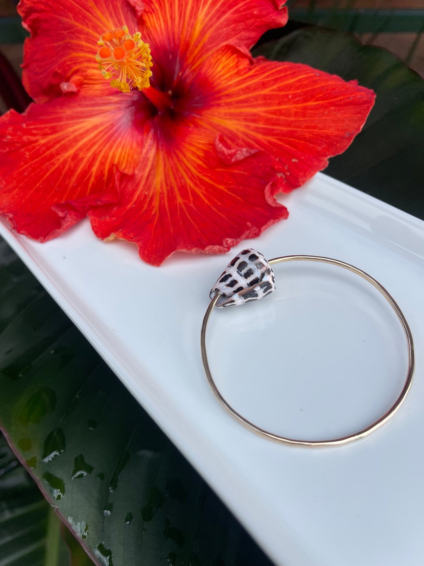 Hebrew shell Bangle